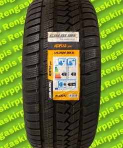 245/45R17 Goldline Winter Glw1 99H XL  E,E  72dB/kitka