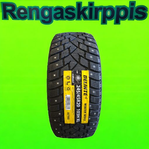 245/45R20 Delinte Winter WD42 103H XL / nasta