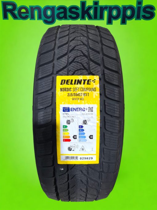 215/55R17 Delinte Winter WD1 94T D,D 72dB/kitka