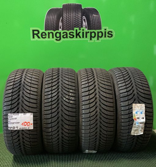 225/45R17 Sava Eskimo Ice 94T kitka ajamattomat / 4P12-4