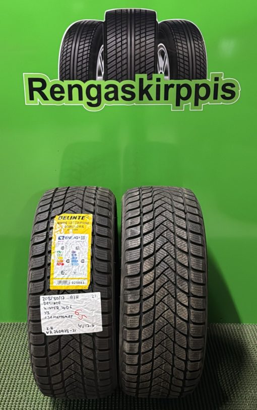 205/50R17 Delinte Winter WD6 93H kitka ajamattomat / 4V17-4