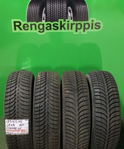 185/65R15 Sava Eskimo Ice 88T kitka ajamattomat / 4V2-3